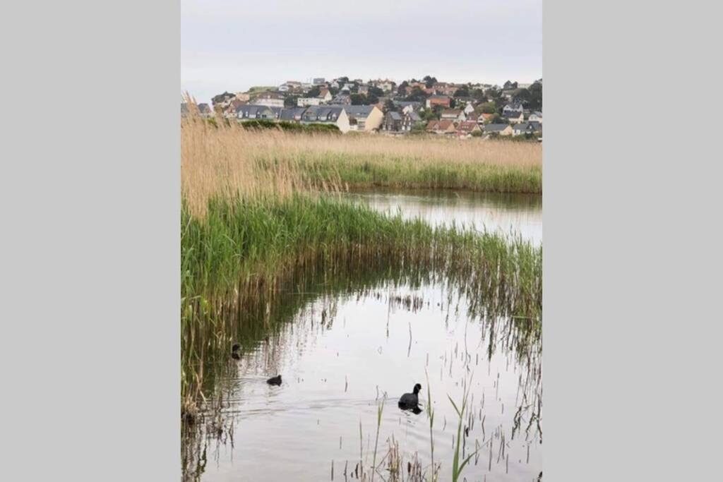 Maison Entiere La Longe'Yeres Saint-Martin-le-Gaillard エクステリア 写真