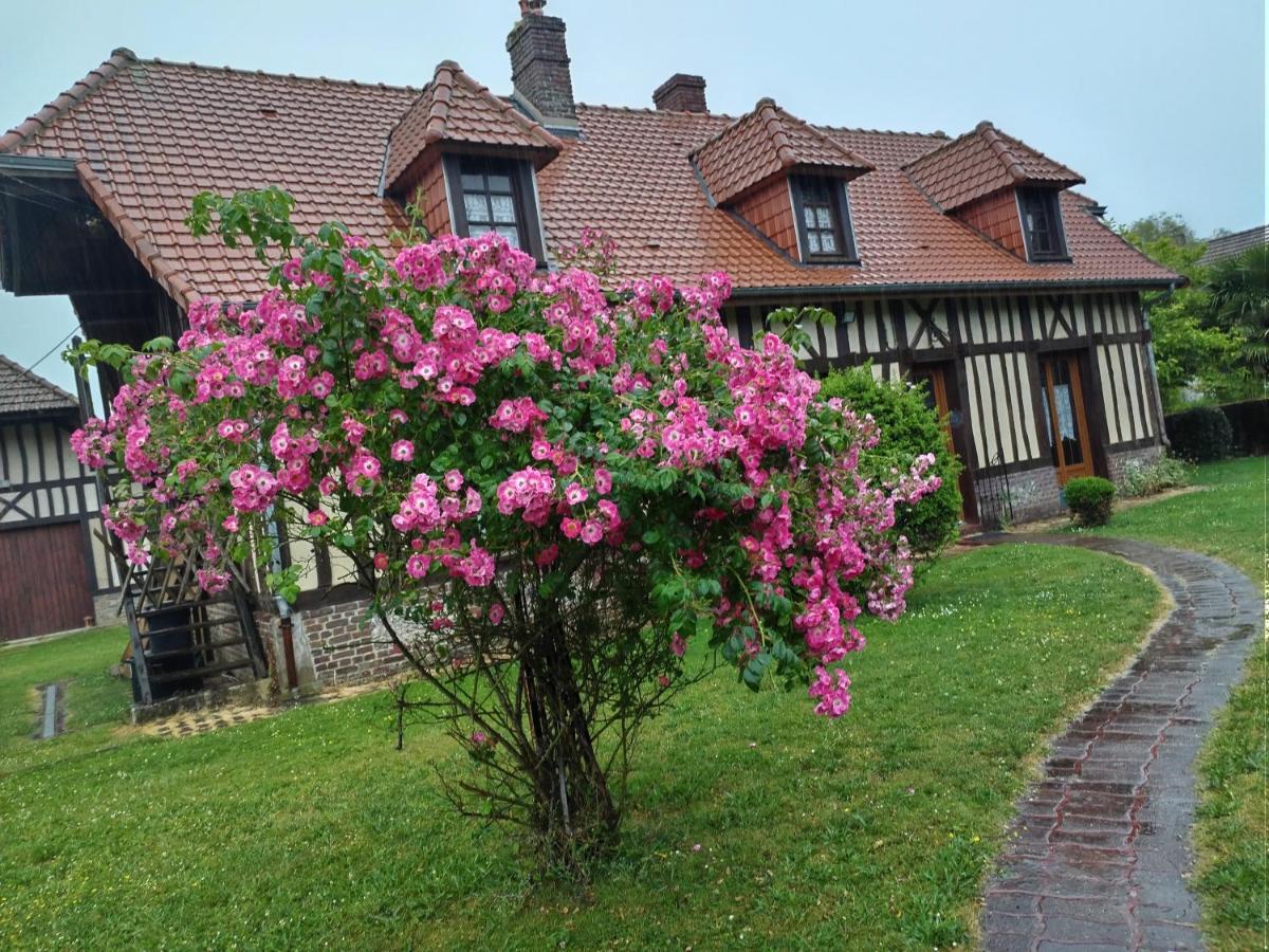 Maison Entiere La Longe'Yeres Saint-Martin-le-Gaillard エクステリア 写真